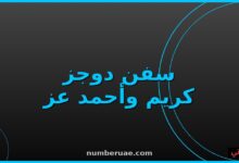 فيلم سفن دوجز 2026 كريم عبدالعزيز أحمد عز