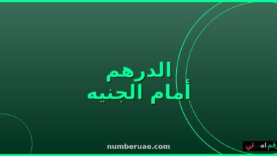 سعر الدرهم الإماراتي مقابل الجنيه المصري اليوم 16 مايو 2026
