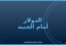 سعر الدولار الجنيه المصري اليوم السبت 16 مايو 2026