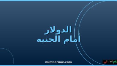 سعر الدولار الجنيه المصري اليوم السبت 16 مايو 2026