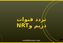 تردد دريم ونايل دراما 2026 نايل سات