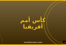 منتخب مصر تونس كأس أمم أفريقيا تحت 17 2026