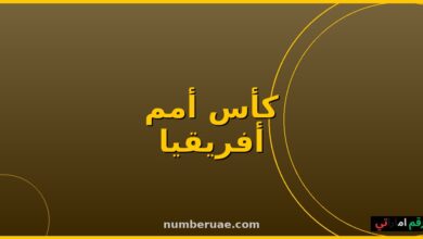منتخب مصر تونس كأس أمم أفريقيا تحت 17 2026