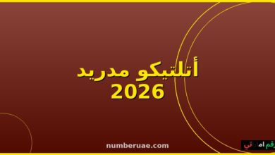 أتلتيكو مدريد جيرونا الليغا 16 مايو 2026