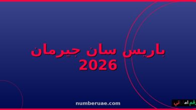باريس سان جيرمان دوري الأبطال 2026 النهائي